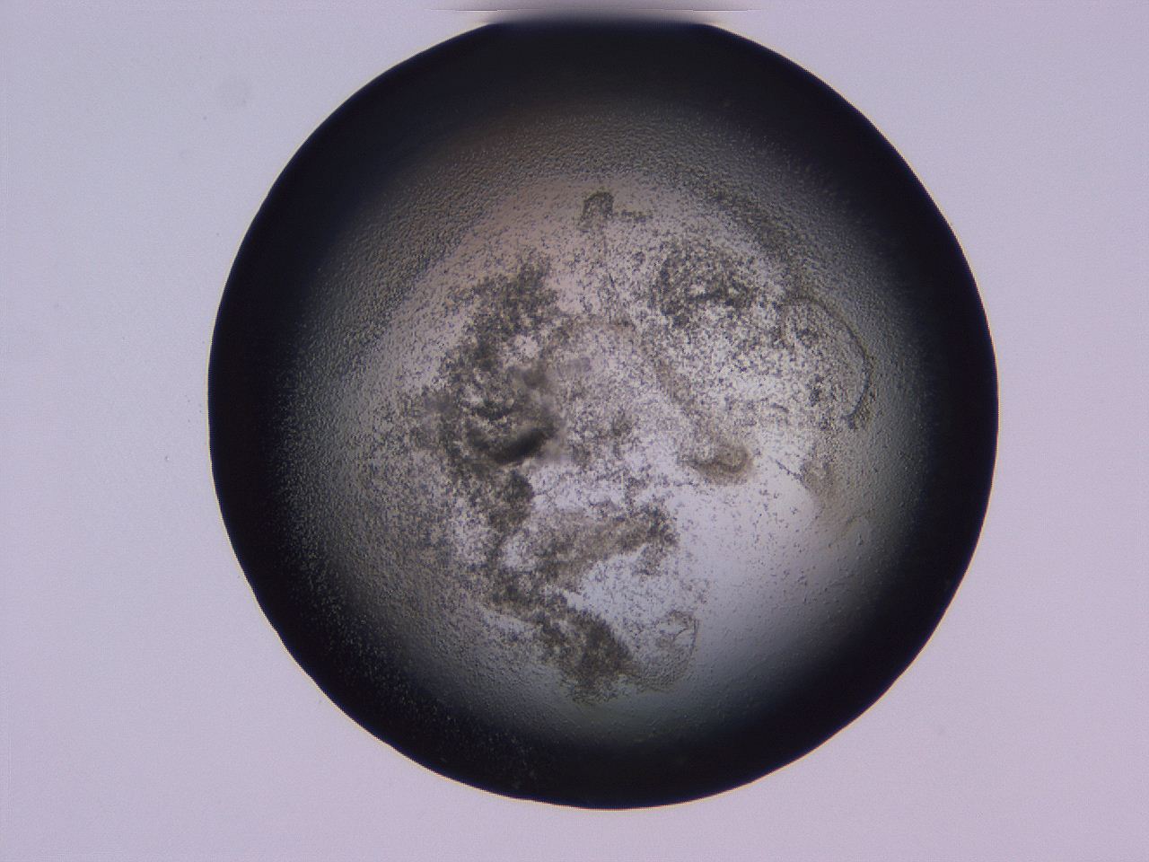04hq_D10_ImagerDefaults_3.jpg