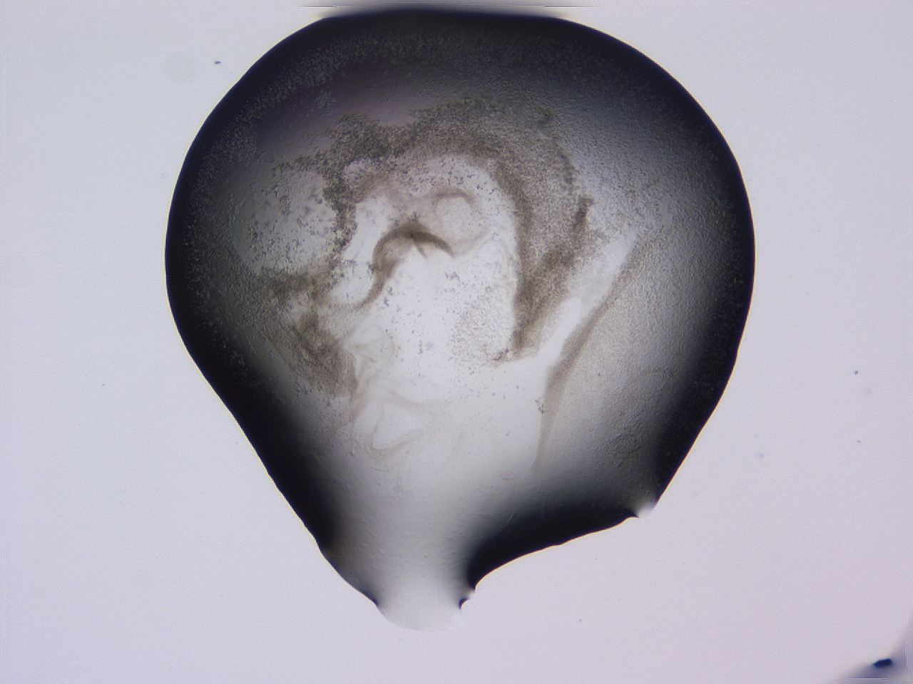 04hq_D11_ImagerDefaults_3.jpg