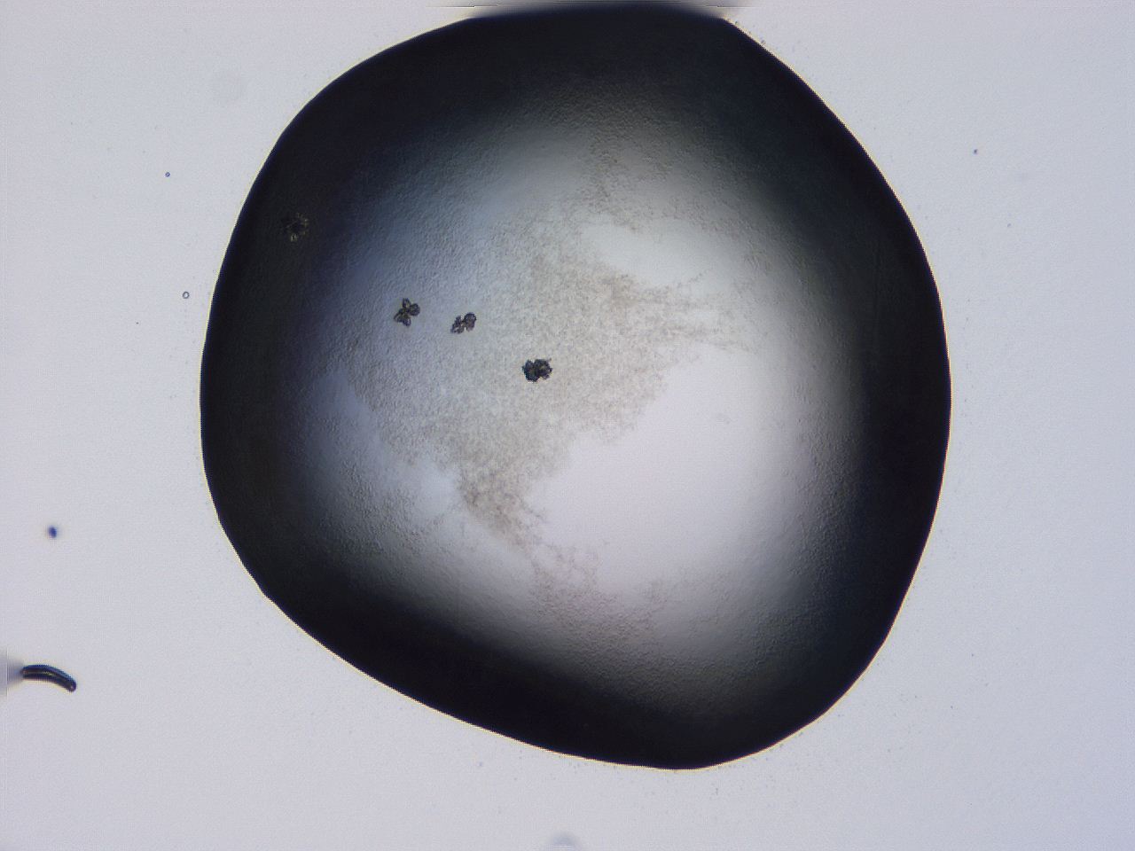 04hq_D12_ImagerDefaults_3.jpg