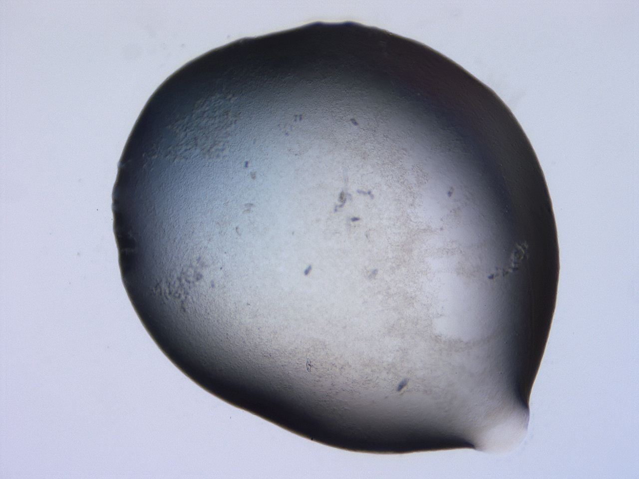 04hq_E1_ImagerDefaults_3.jpg