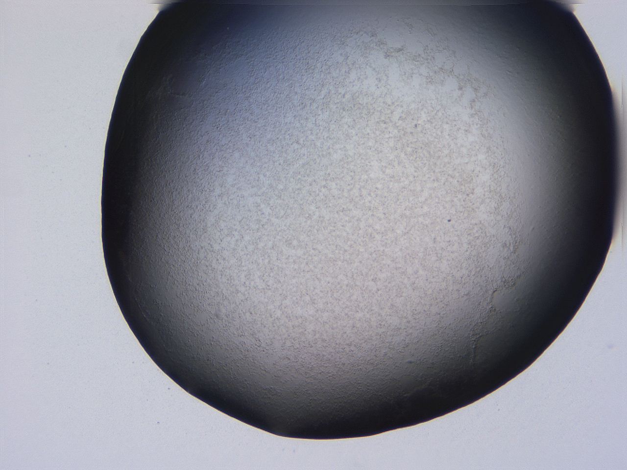 04hq_E4_ImagerDefaults_3.jpg