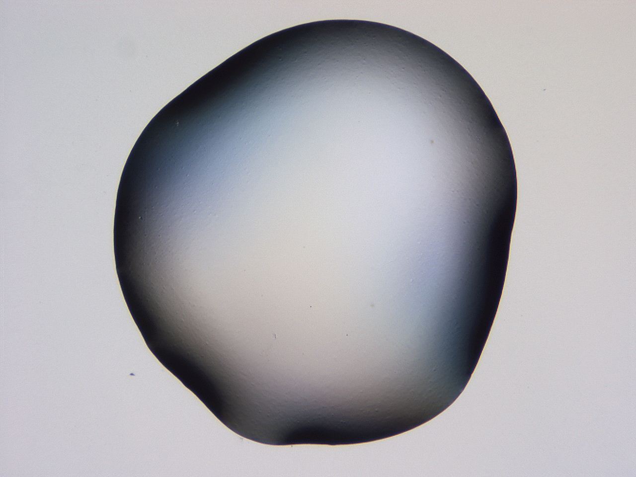 04hq_B3_ImagerDefaults_0.jpg