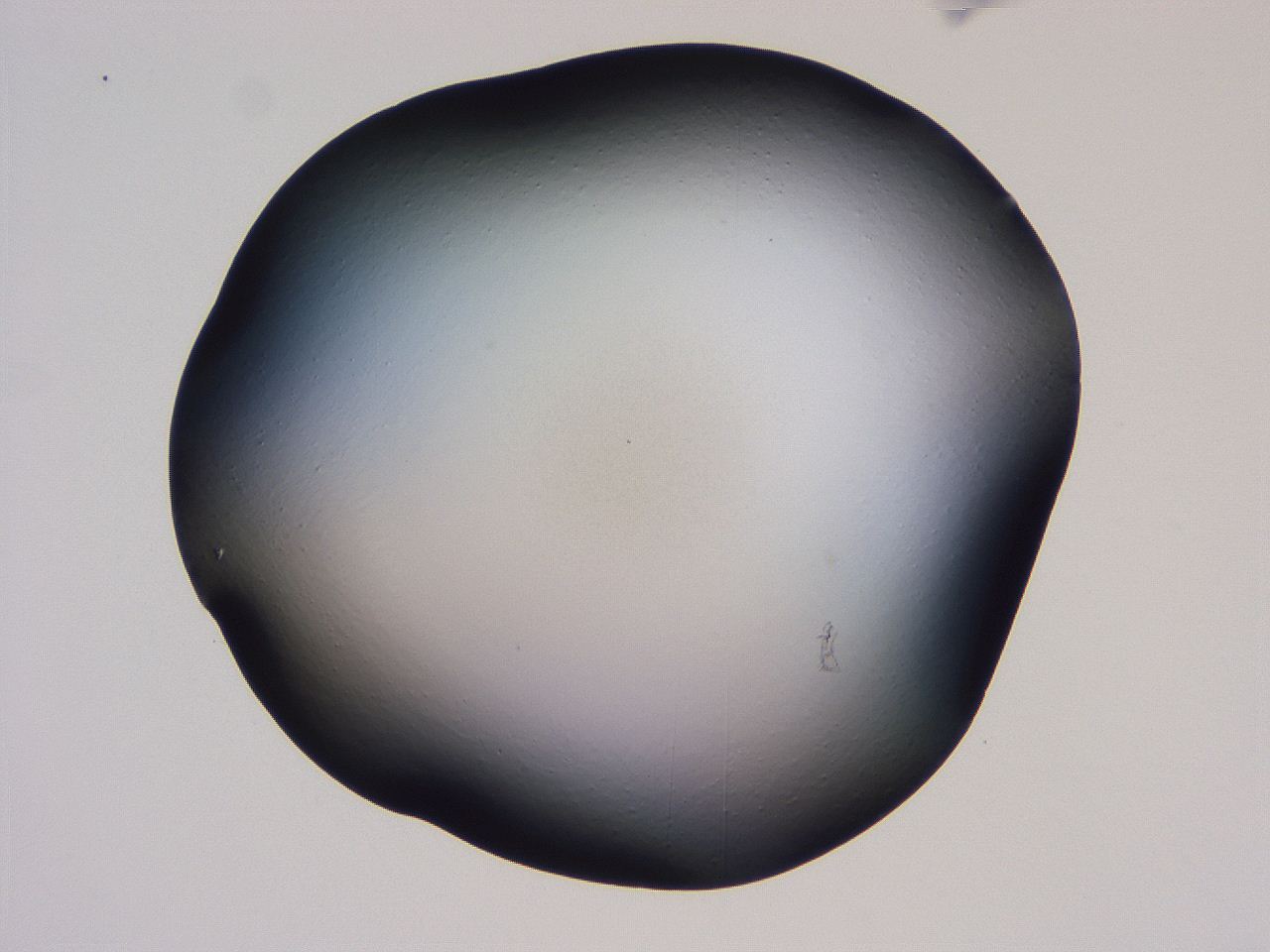 04hq_B2_ImagerDefaults_0.jpg