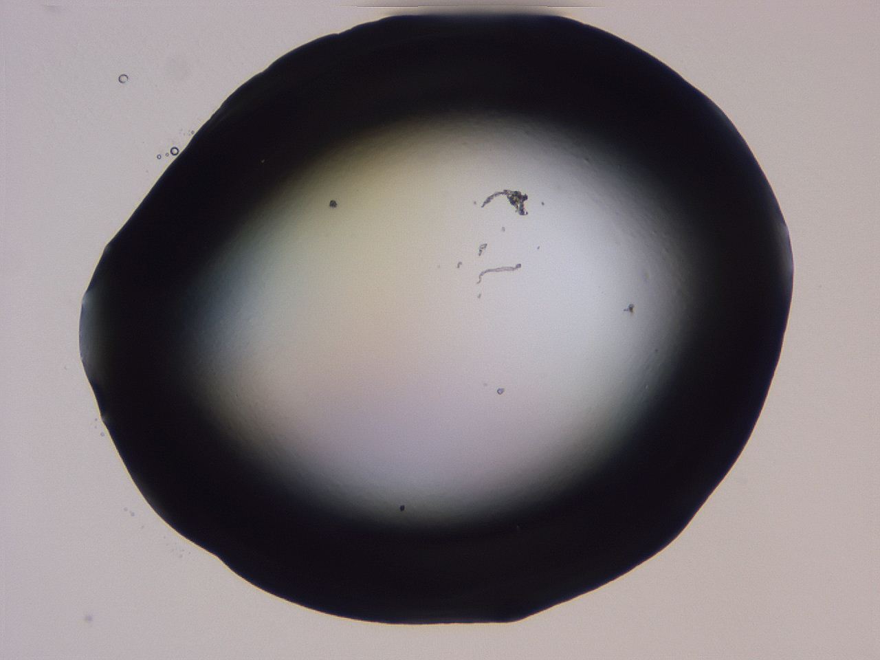 04hq_B1_ImagerDefaults_0.jpg