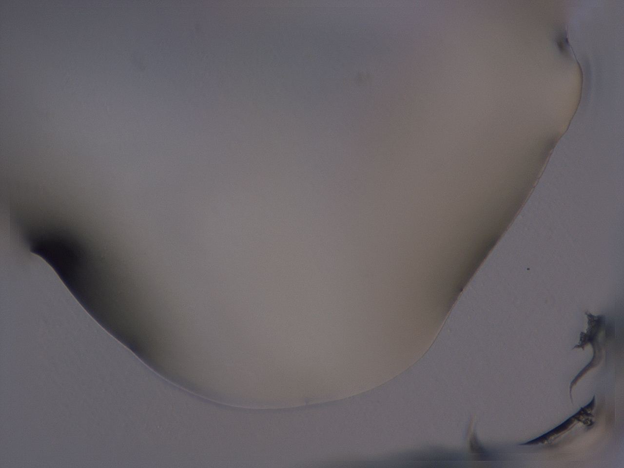 04hq_A10_ImagerDefaults_0.jpg