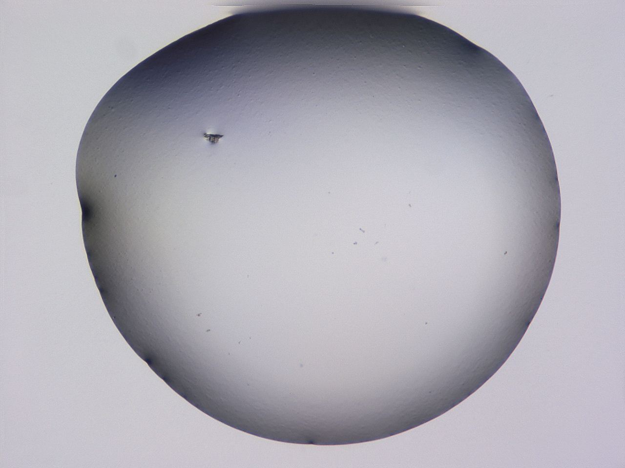 04hq_E11_ImagerDefaults_0.jpg