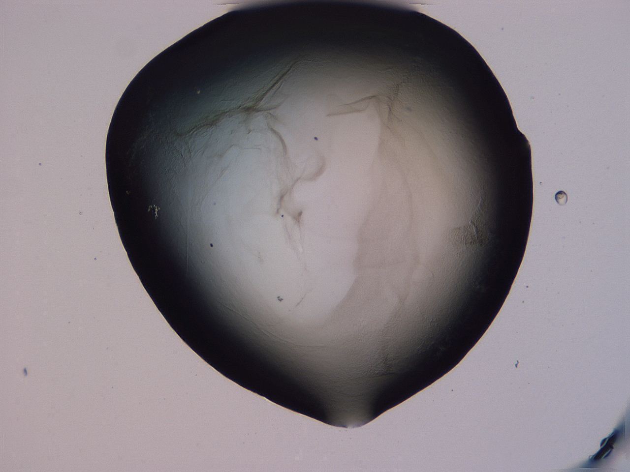 04hq_E12_ImagerDefaults_3.jpg