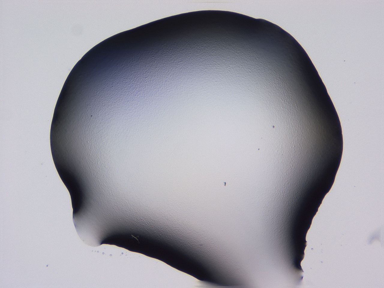 04hq_F3_ImagerDefaults_0.jpg