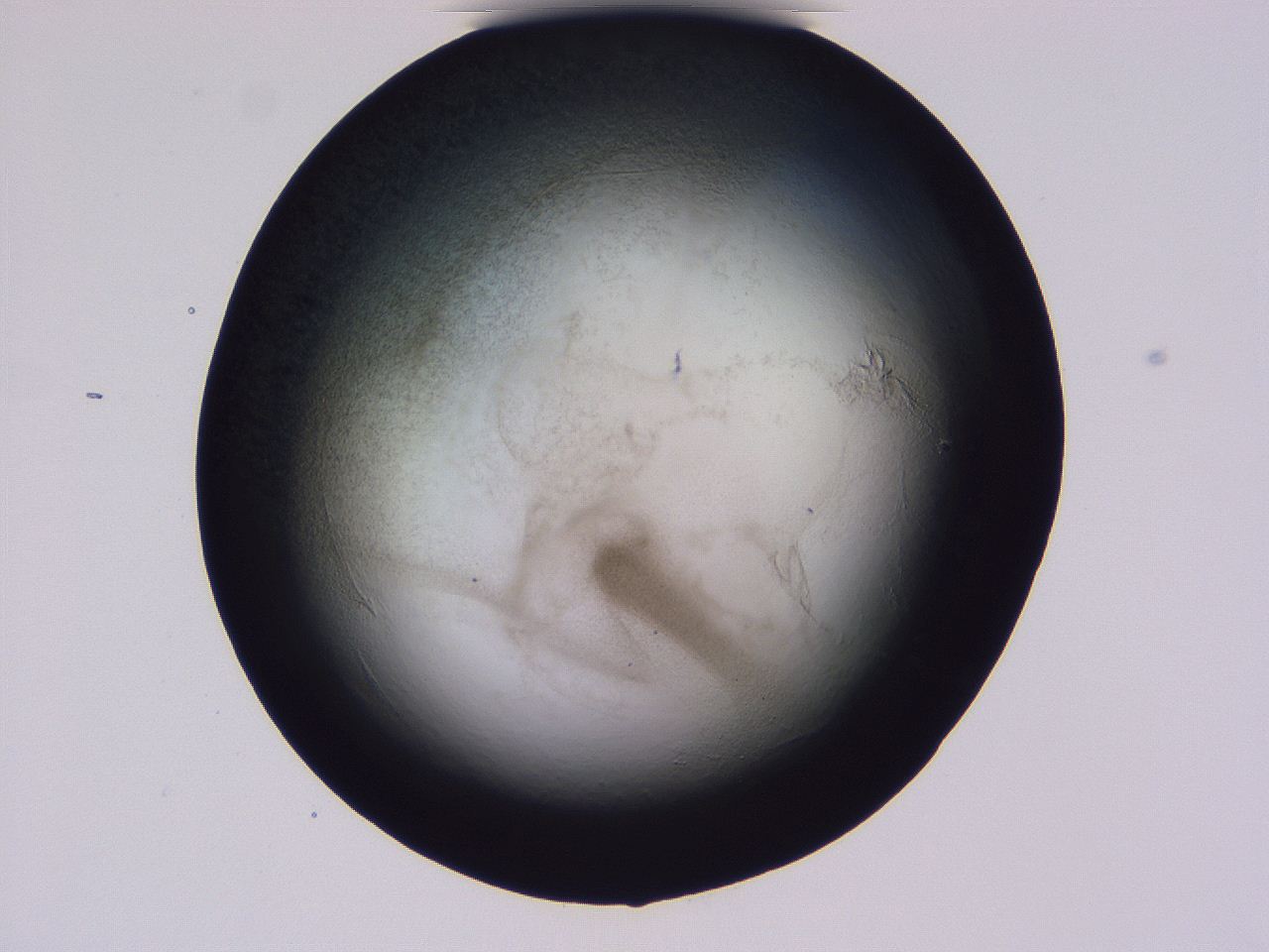 04hq_F4_ImagerDefaults_3.jpg