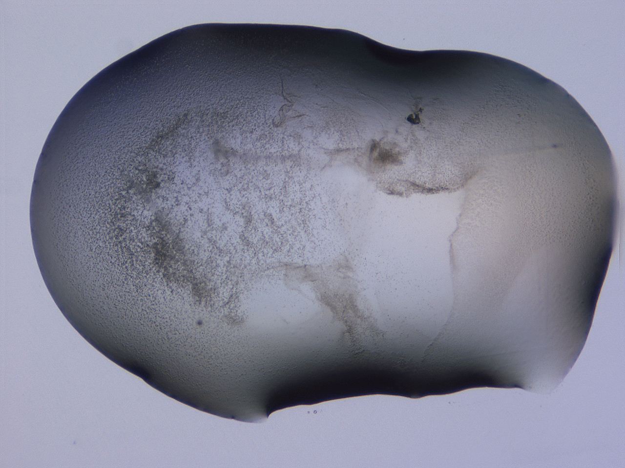04hq_F6_ImagerDefaults_3.jpg