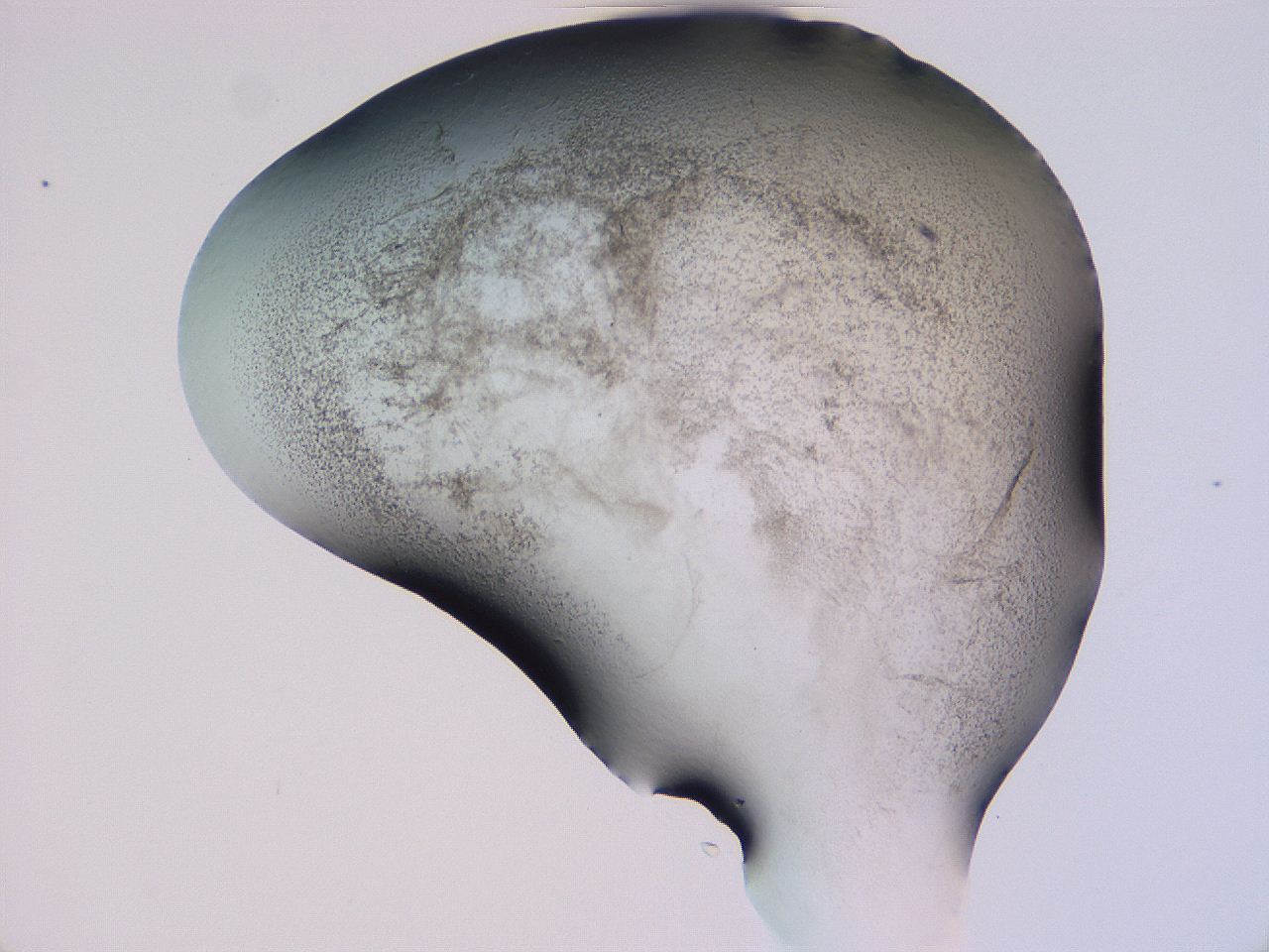 04hq_F9_ImagerDefaults_3.jpg