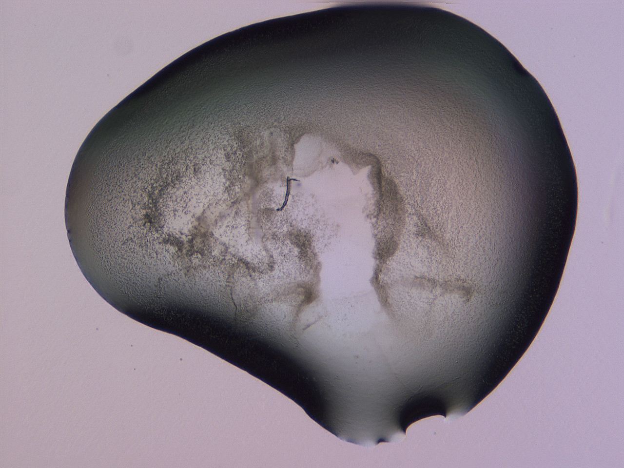 04hq_G7_ImagerDefaults_3.jpg