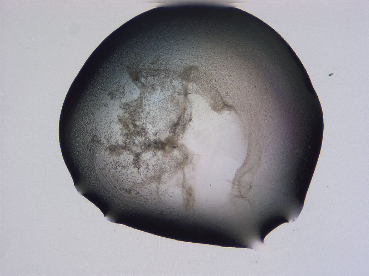 04hq_G9_ImagerDefaults_3.jpg