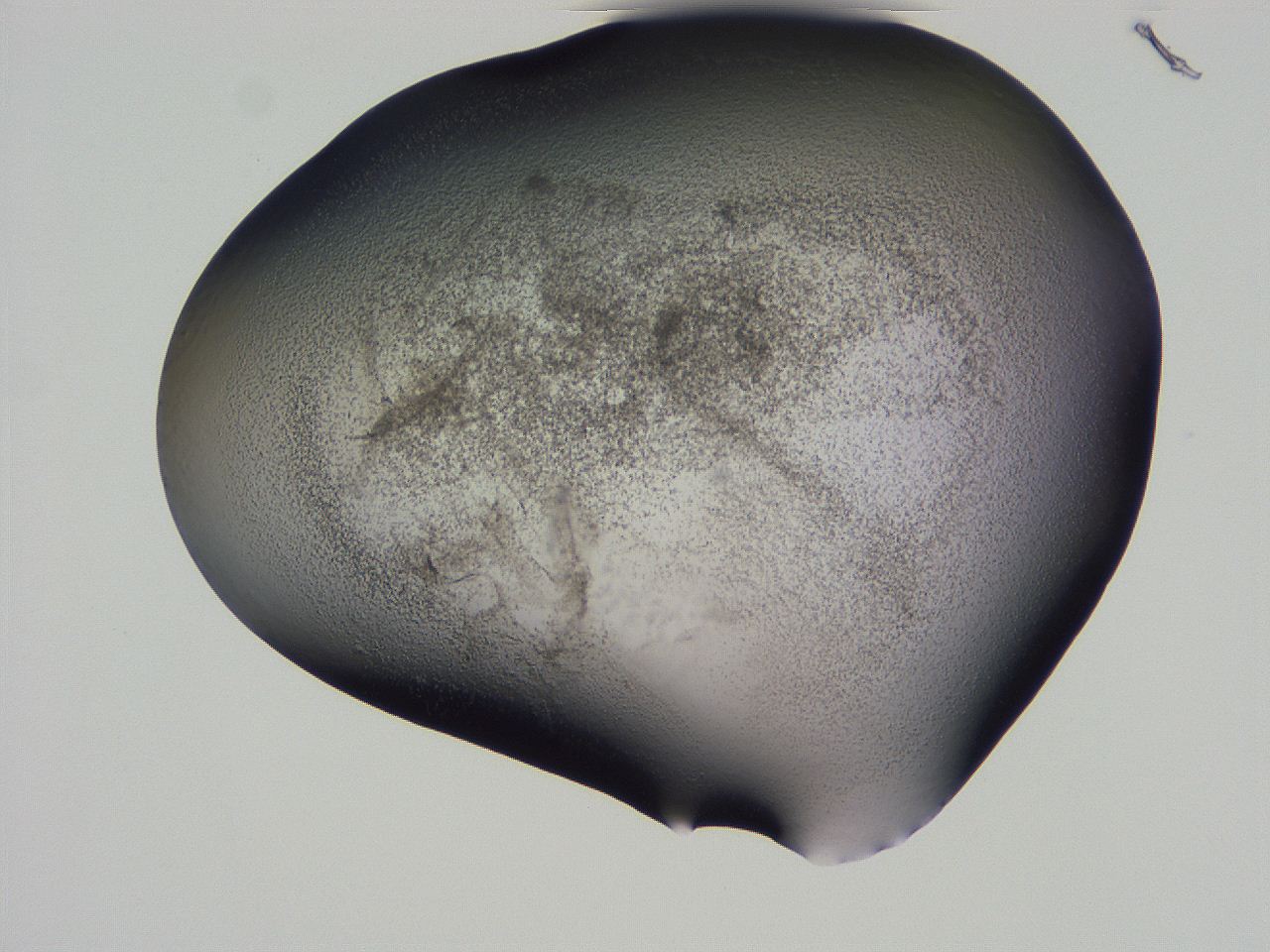 04hq_G10_ImagerDefaults_3.jpg