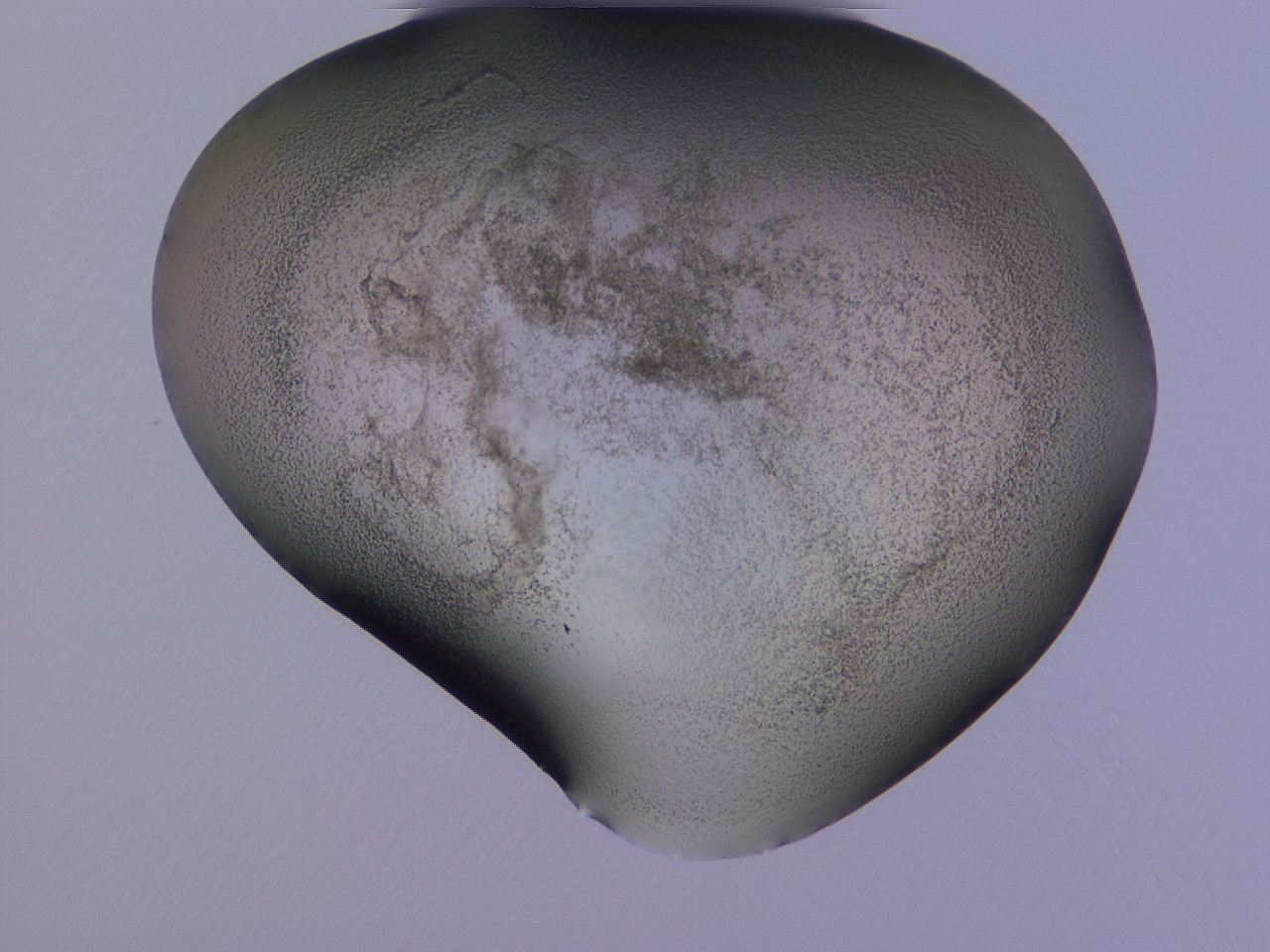 04hq_G11_ImagerDefaults_3.jpg