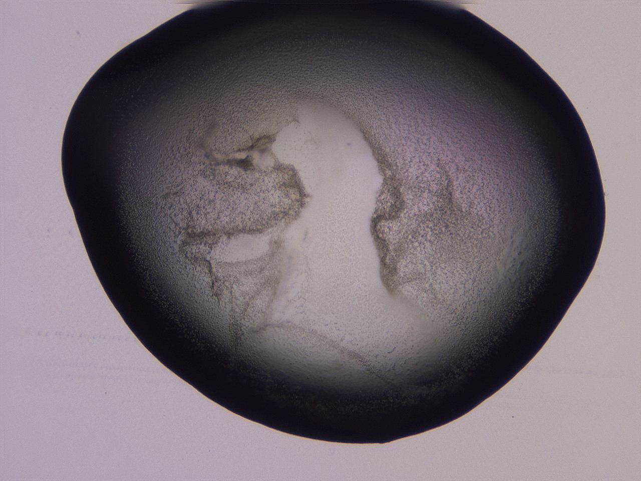 04hq_H6_ImagerDefaults_3.jpg