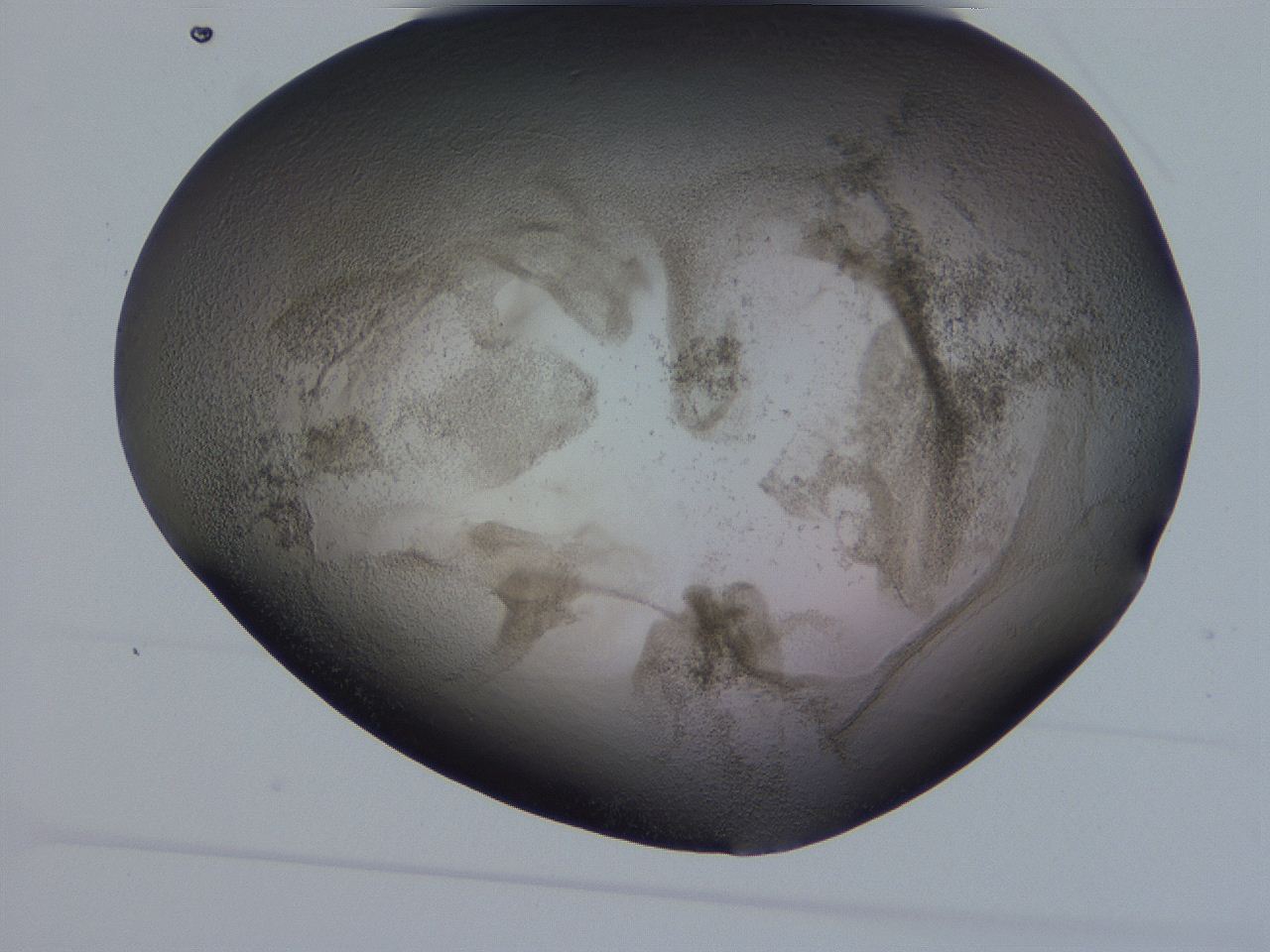 04hq_H11_ImagerDefaults_3.jpg