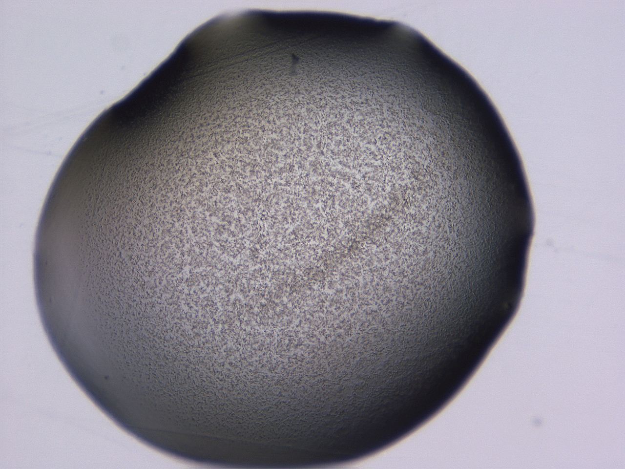 04hr_B12_ImagerDefaults_3.jpg