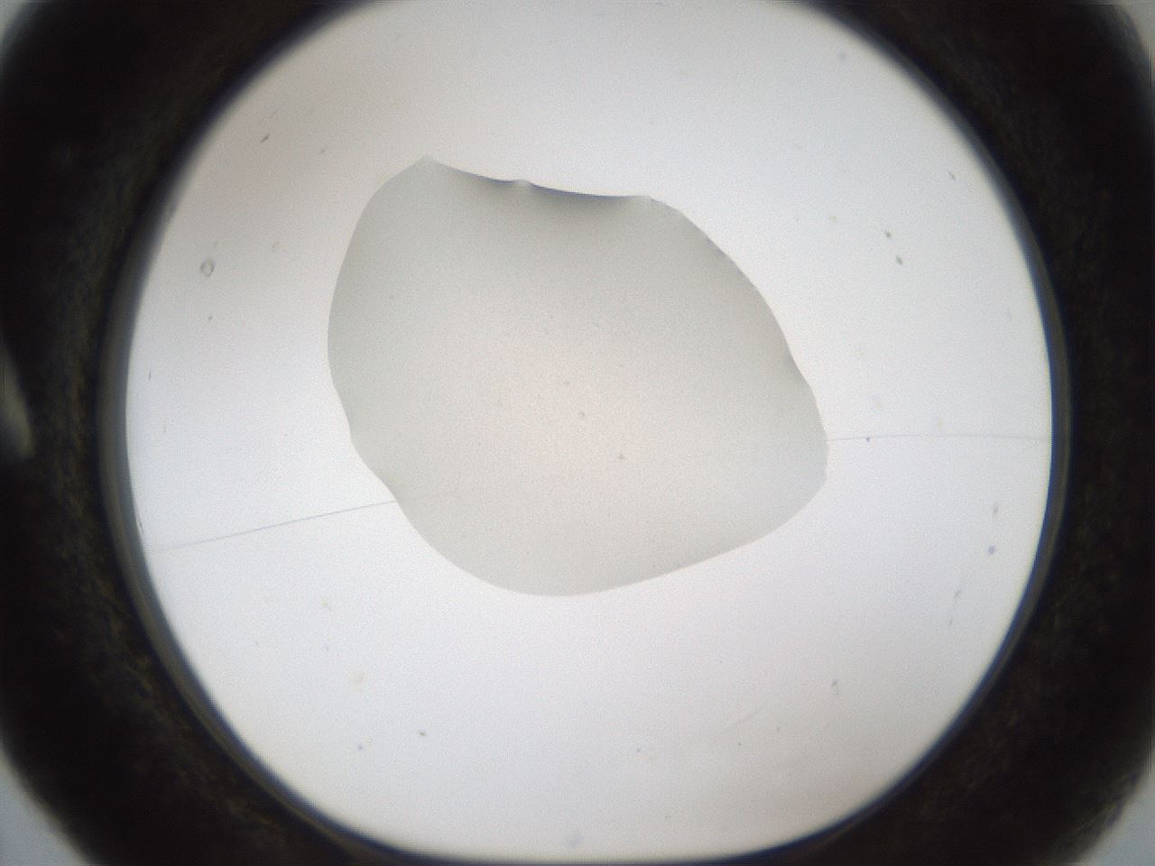 folderID146_plateID1146_batchID2868_wellNum5_profileID1_d1_r60415_ef.jpg