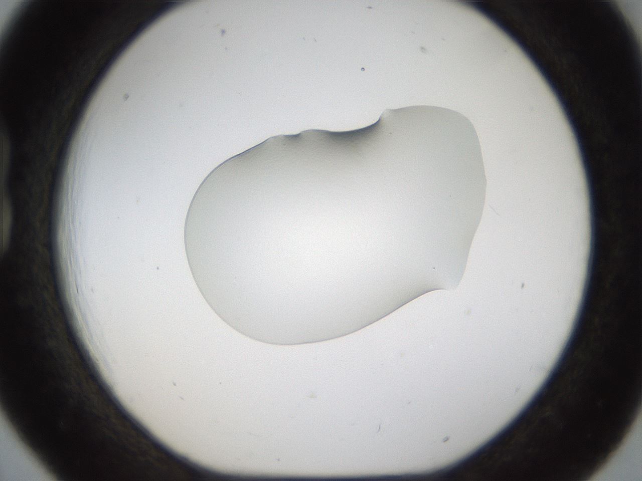 folderID148_plateID1148_batchID2867_wellNum18_profileID1_d1_r60332_ef.jpg