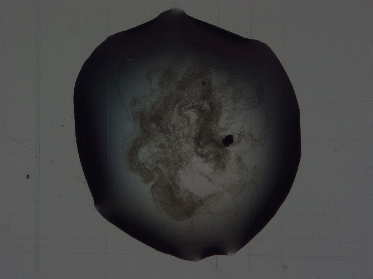 04hr_F1_ImagerDefaults_3.jpg
