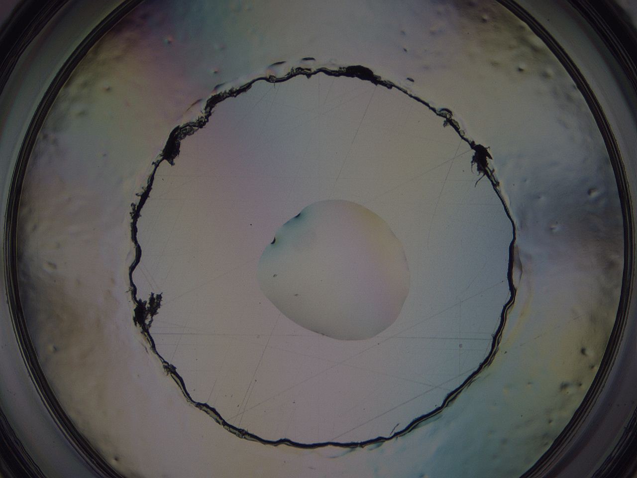 04hr_F9_ImagerDefaults_0.jpg