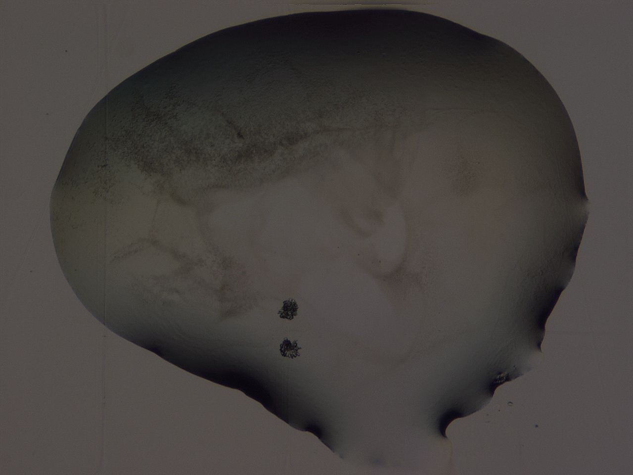 04hr_G3_ImagerDefaults_3.jpg