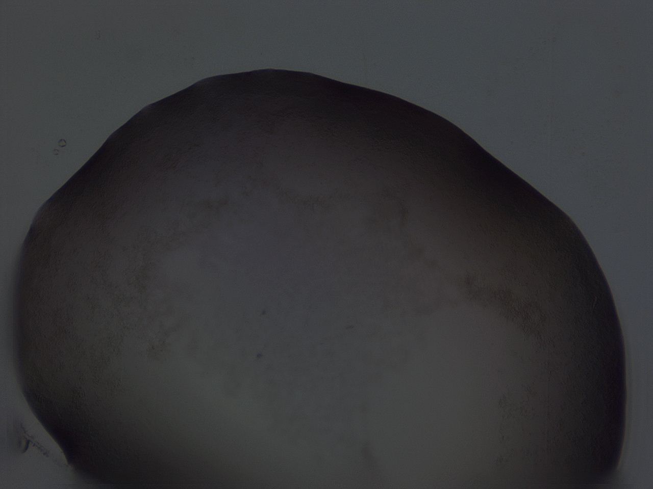 04hr_G11_ImagerDefaults_3.jpg