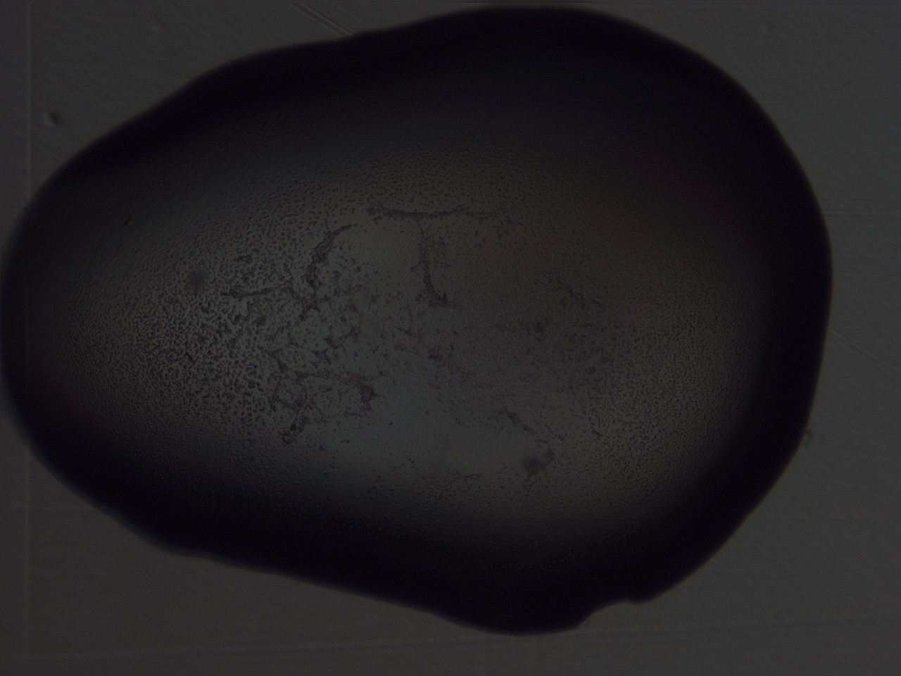 04hr_H1_ImagerDefaults_3.jpg