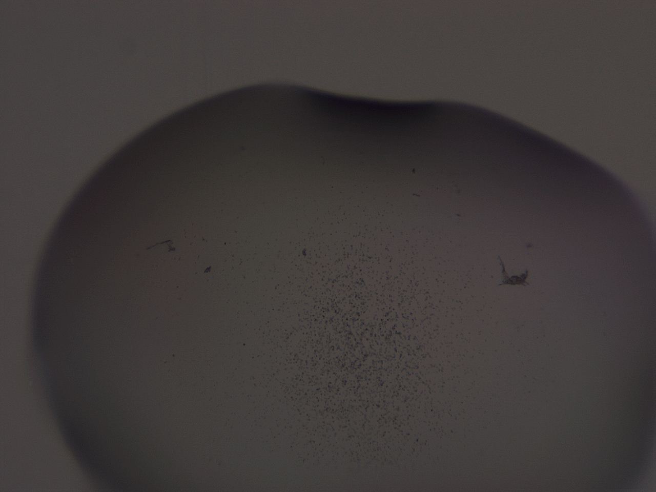 04hr_H6_ImagerDefaults_3.jpg