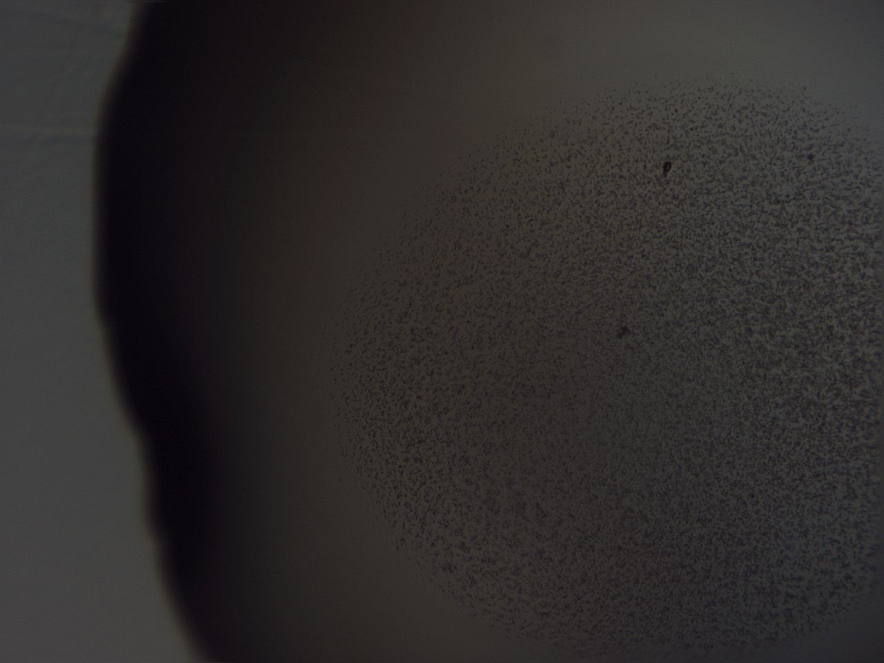 04hr_H8_ImagerDefaults_3.jpg