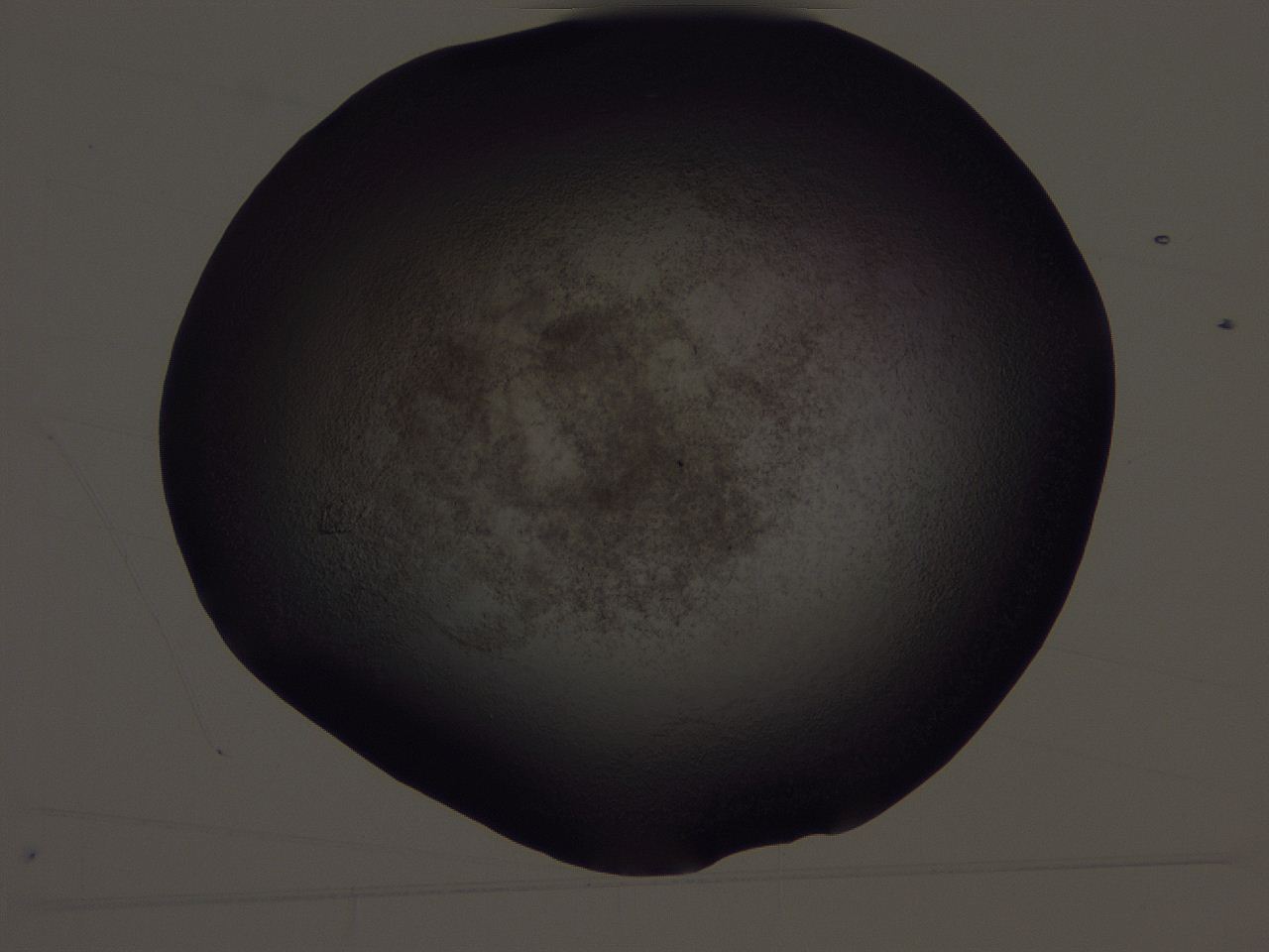 04hr_H10_ImagerDefaults_3.jpg