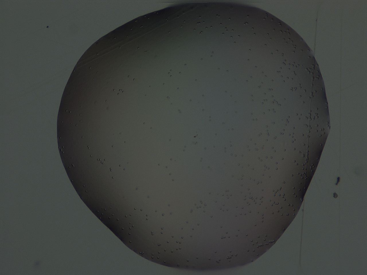 04hr_H11_ImagerDefaults_0.jpg