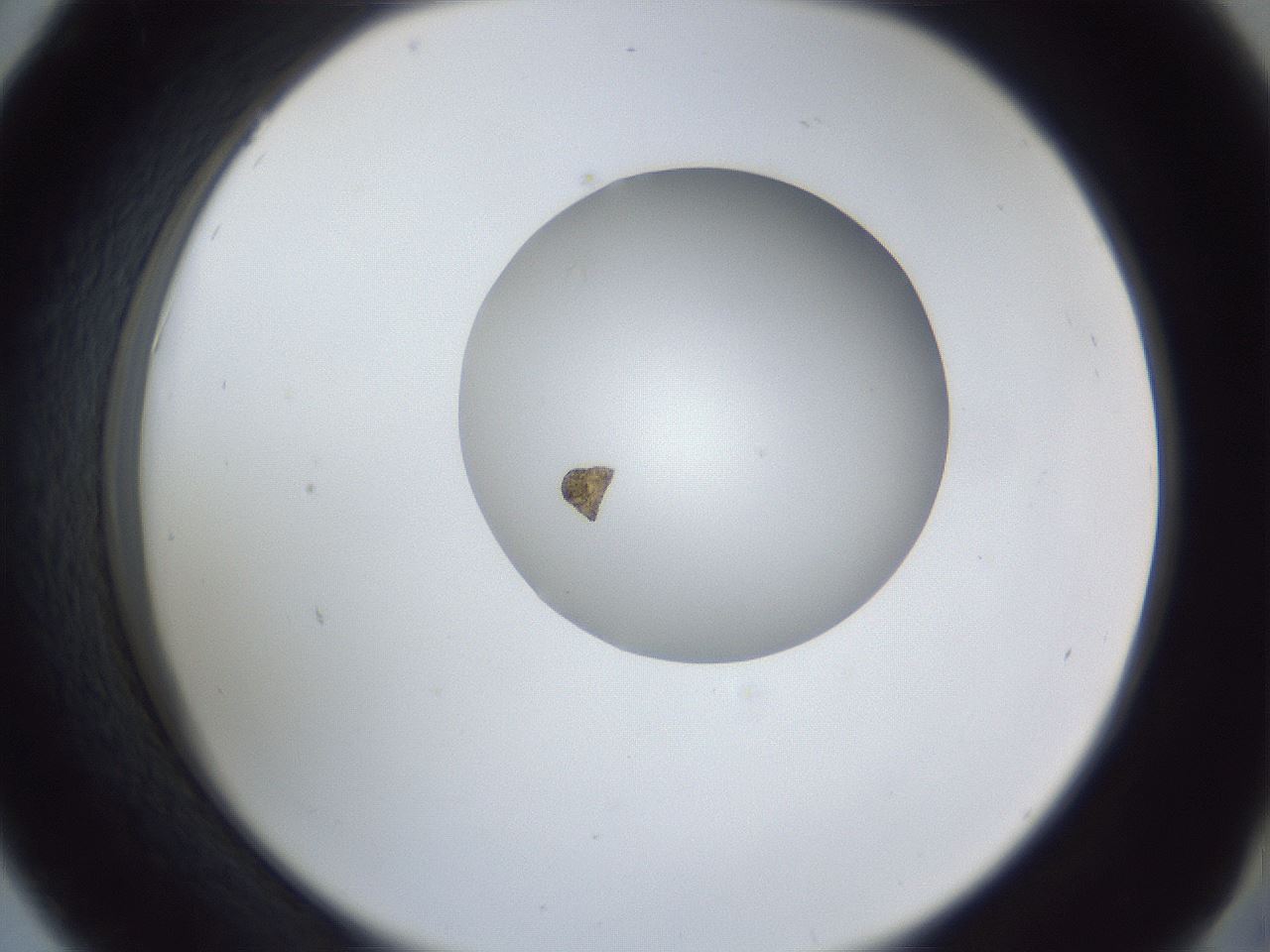 folderID162_plateID1162_batchID3761_wellNum42_profileID1_d2_r62130_ef.jpg