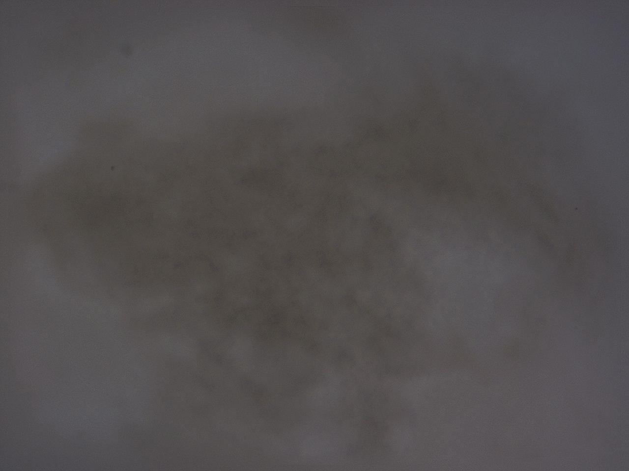 04ht_A11_ImagerDefaults_3.jpg