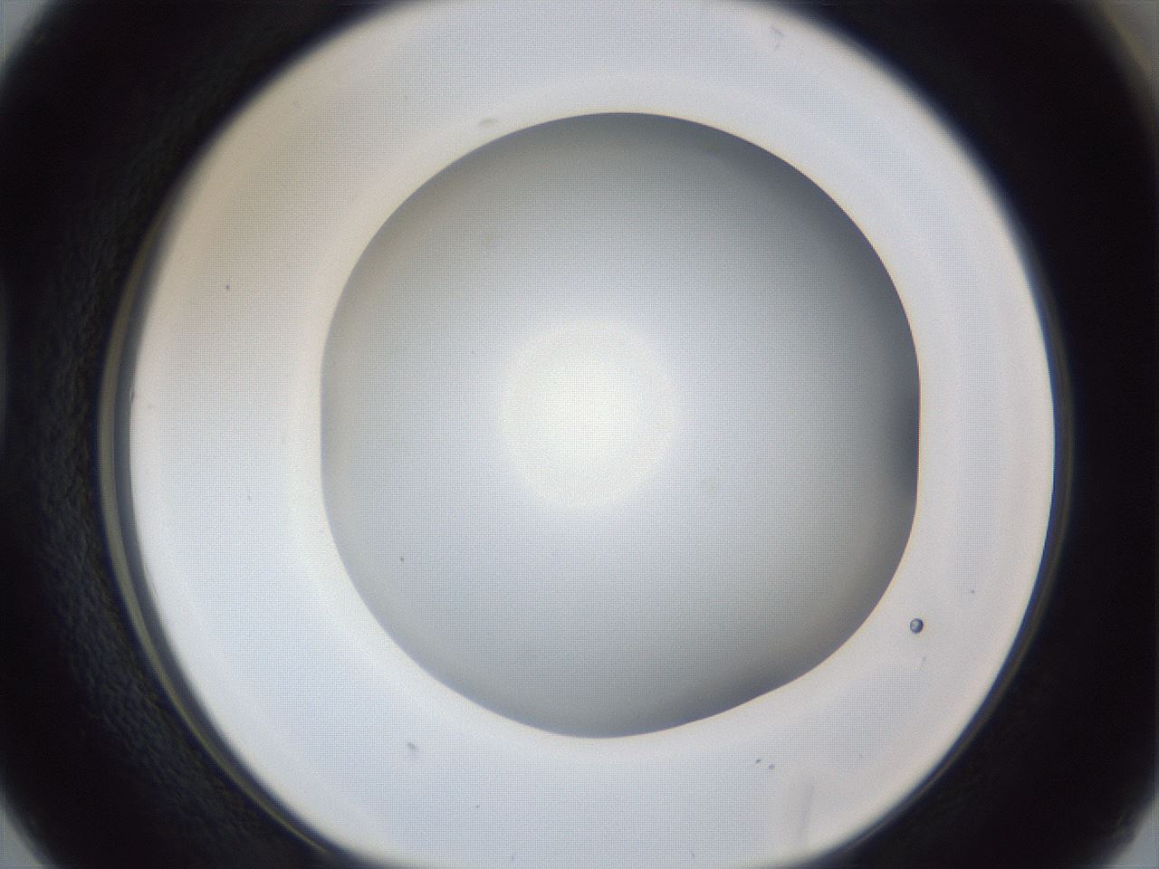 folderID165_plateID1165_batchID2734_wellNum38_profileID1_d1_r61161_ef.jpg