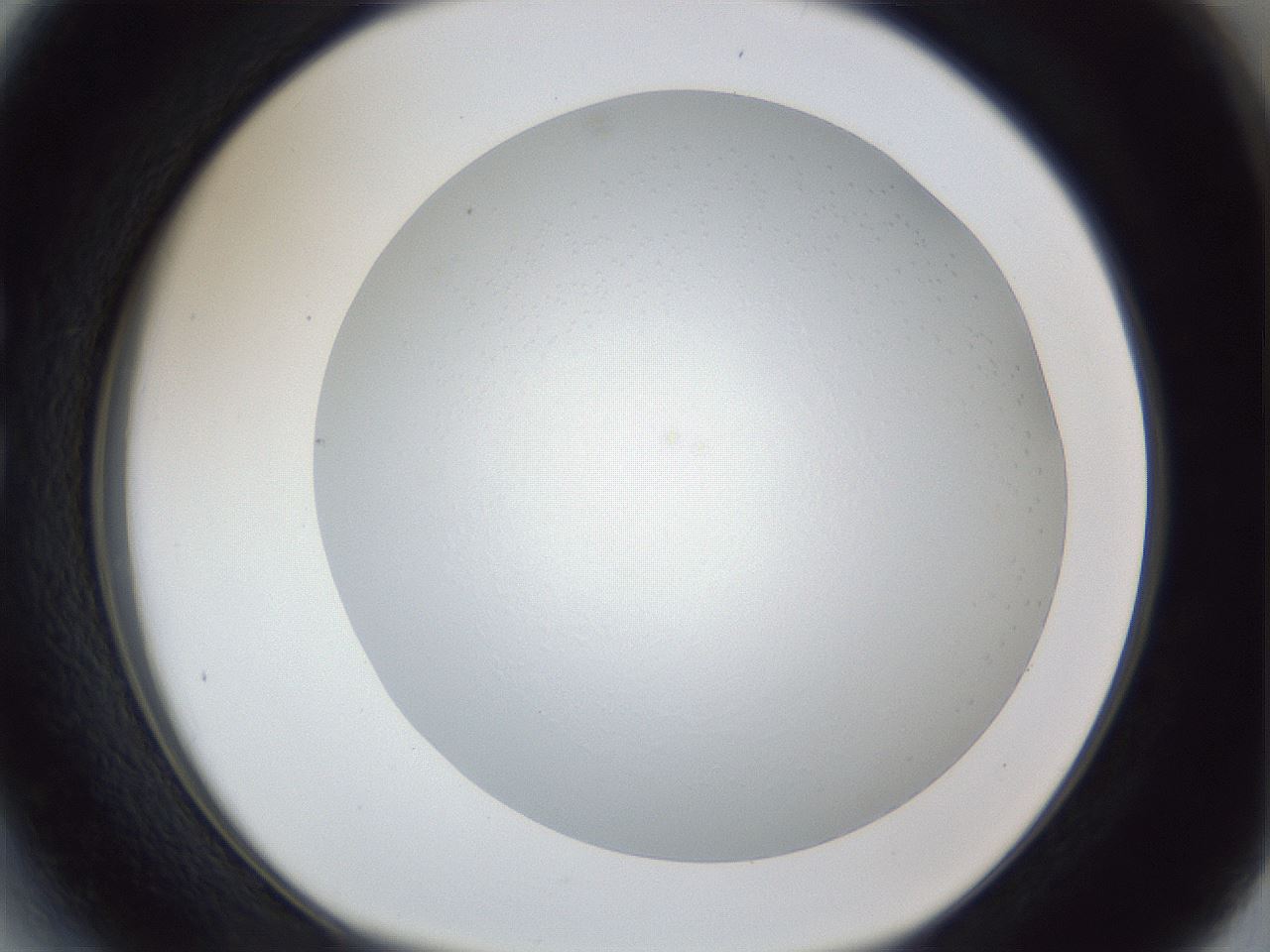 folderID165_plateID1165_batchID2958_wellNum27_profileID1_d1_r61139_ef.jpg