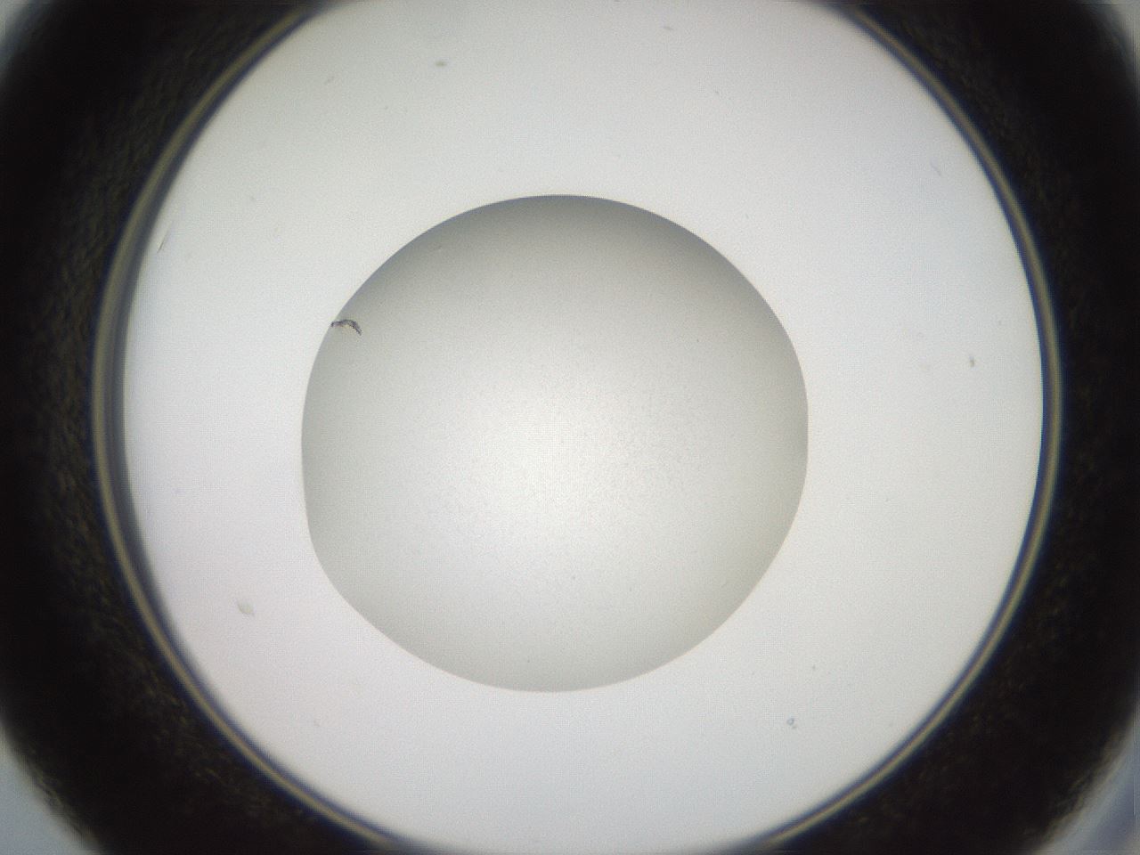 folderID17_plateID3017_batchID16538_wellNum15_profileID1_d2_r251552_ef.jpg