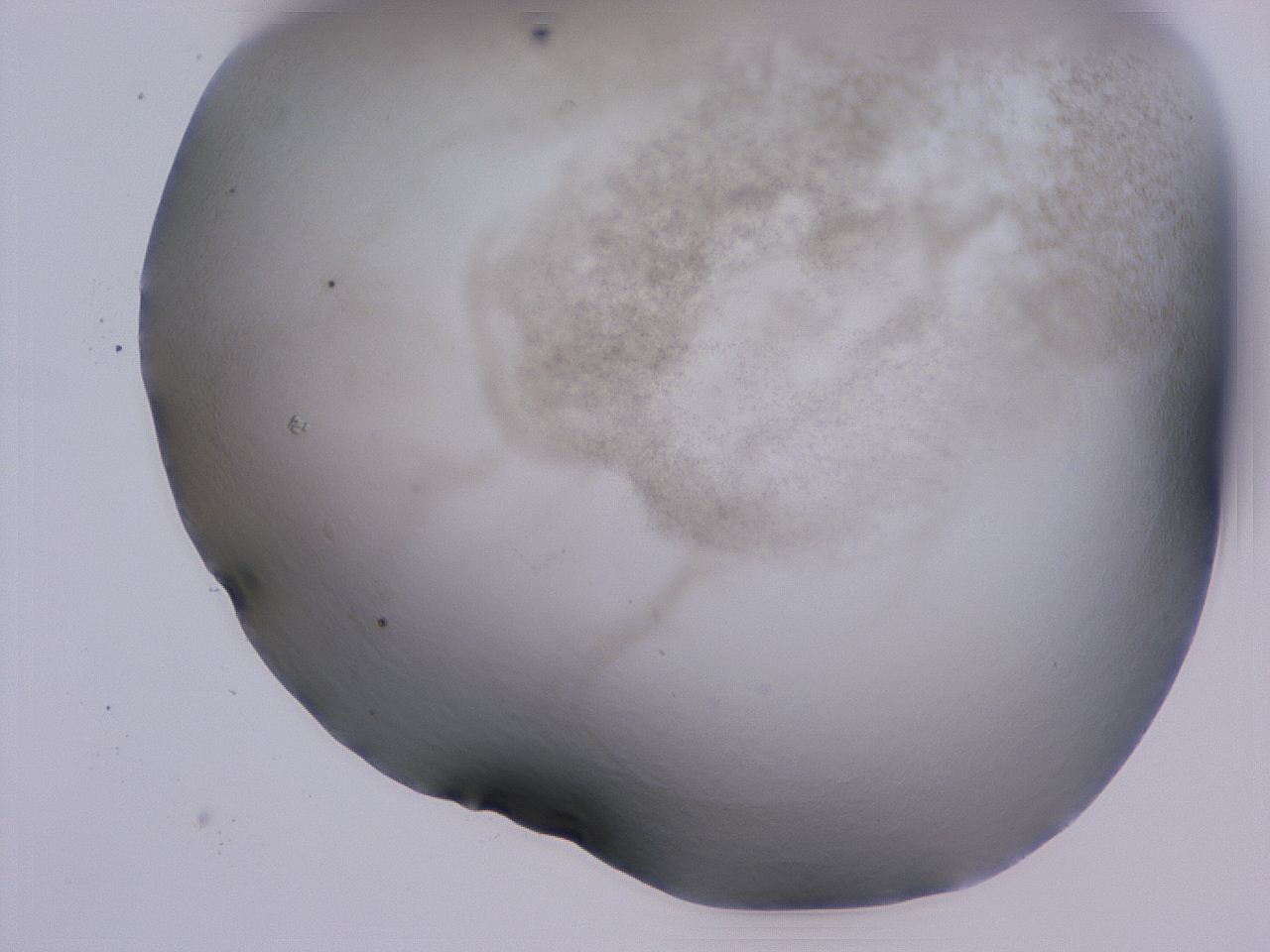 04ht_C11_ImagerDefaults_3.jpg