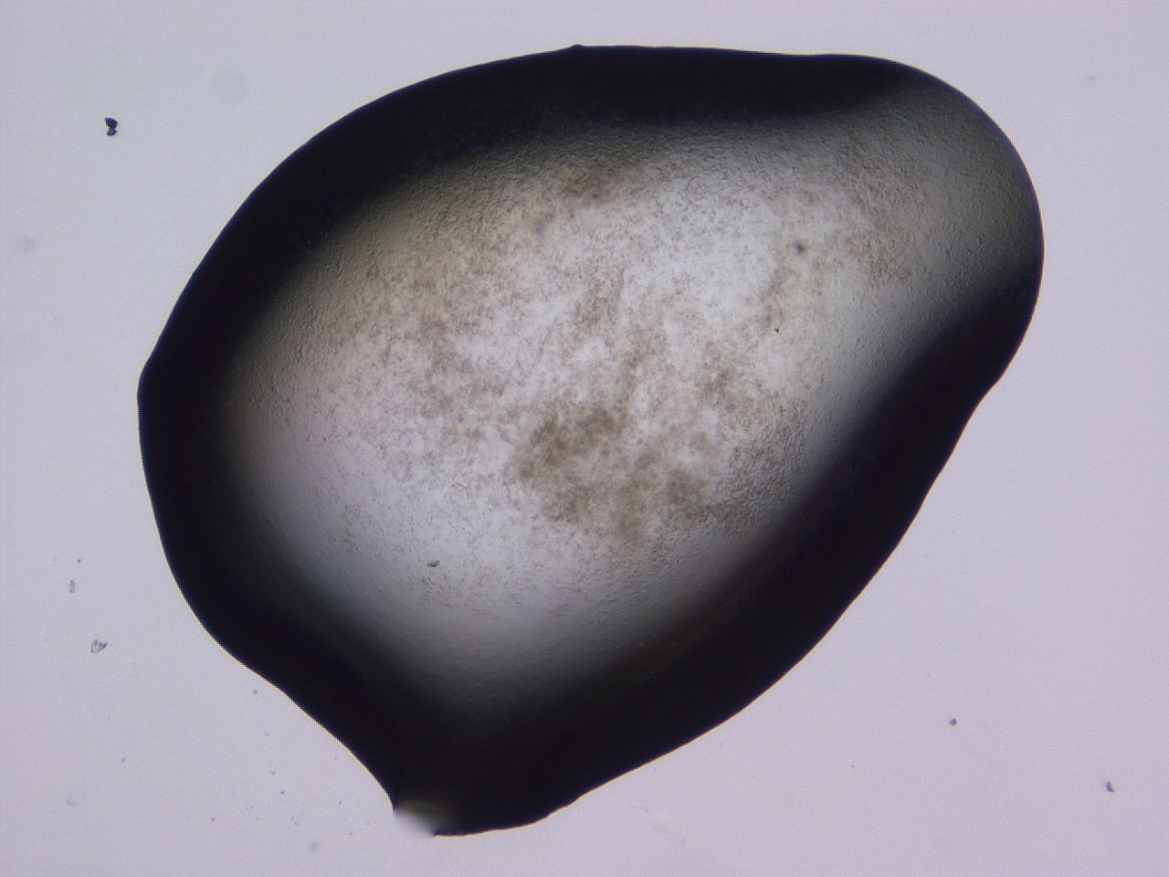 04ht_B12_ImagerDefaults_3.jpg