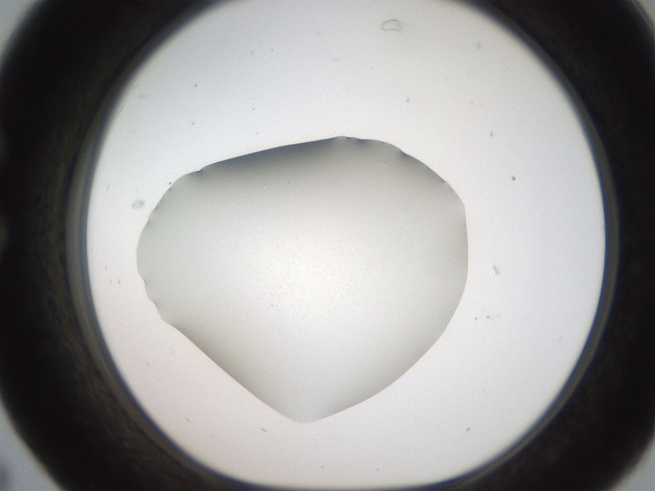 folderID185_plateID2185_batchID9841_wellNum31_profileID1_d1_r147861_ef.jpg