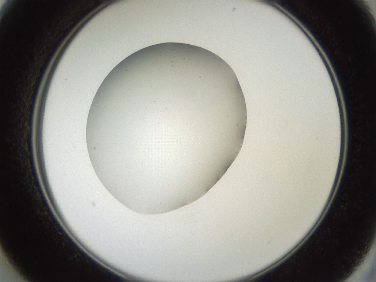 folderID18_plateID3018_batchID16526_wellNum13_profileID1_d2_r251740_ef.jpg