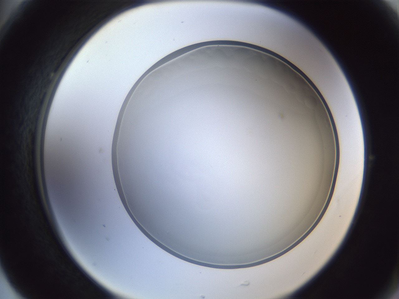 folderID205_plateID1205_batchID4445_wellNum77_profileID1_d2_r66905_ef.jpg