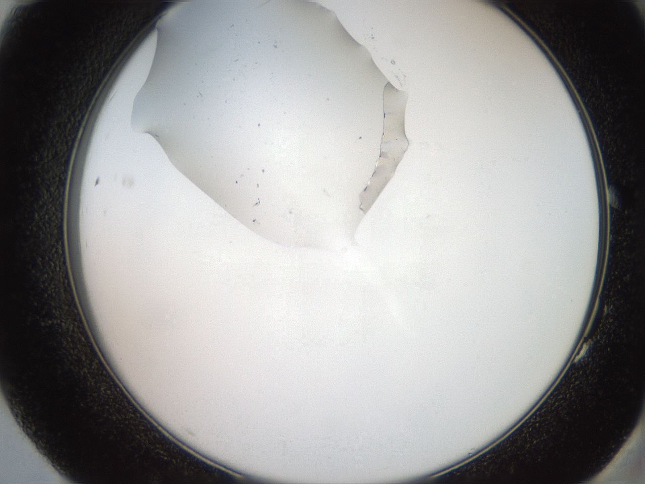 folderID205_plateID2205_batchID9800_wellNum83_profileID1_d2_r150108_ef.jpg