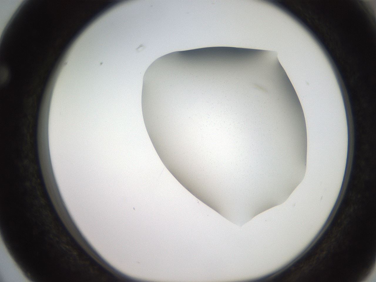 folderID205_plateID2205_batchID9904_wellNum63_profileID1_d1_r150067_ef.jpg