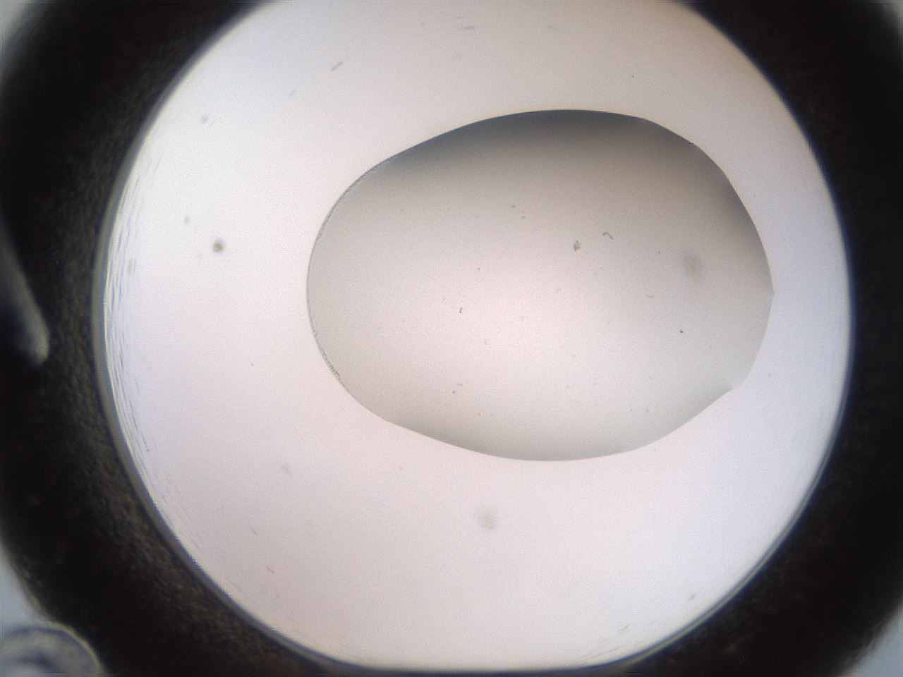 folderID205_plateID2205_batchID9754_wellNum12_profileID1_d1_r149965_ef.jpg