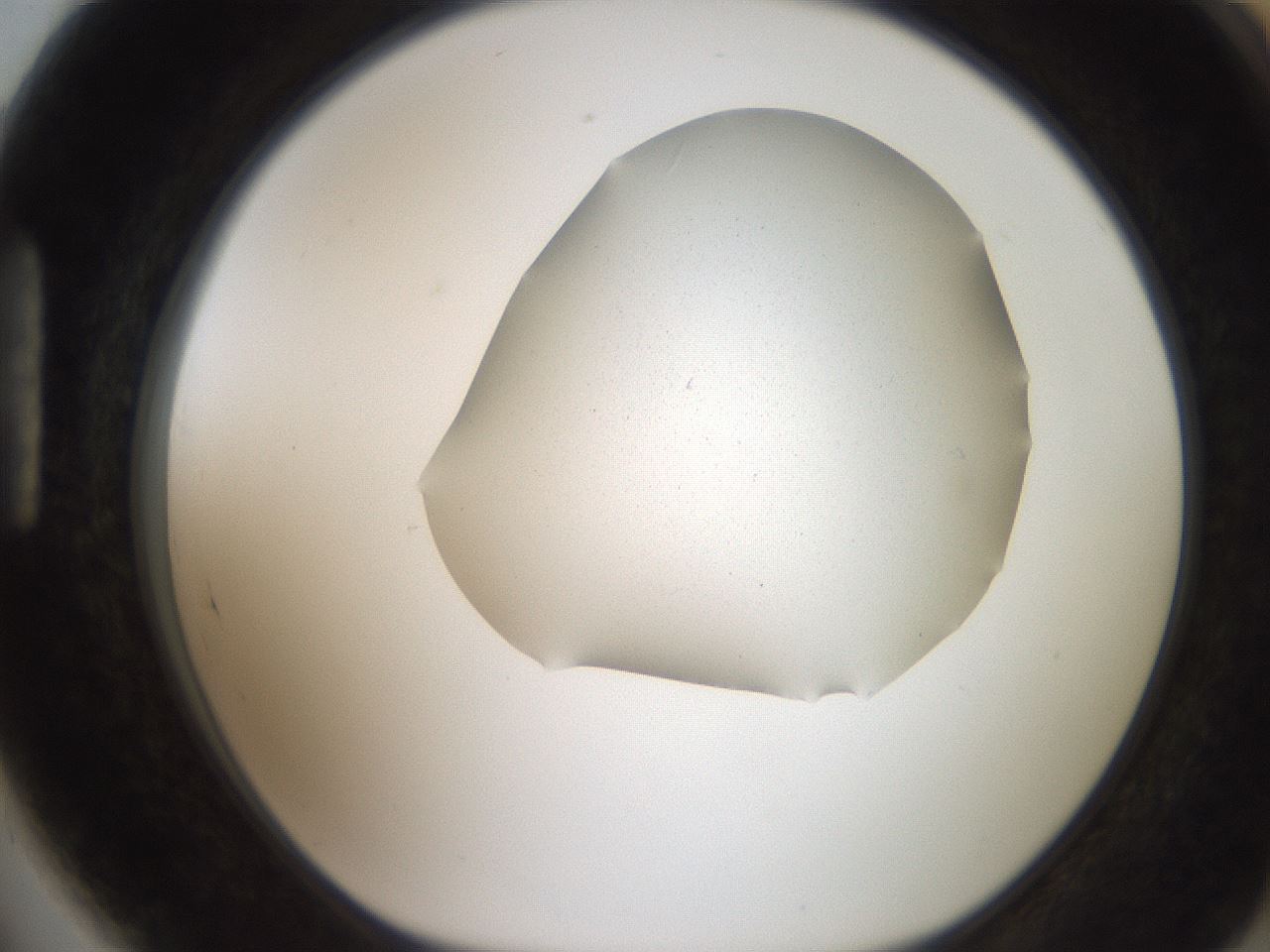 folderID206_plateID2206_batchID9895_wellNum89_profileID1_d1_r149927_ef.jpg