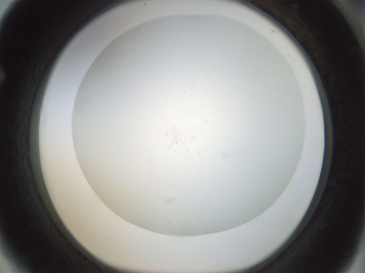 folderID208_plateID1208_batchID3526_wellNum64_profileID1_d1_r68702_ef.jpg