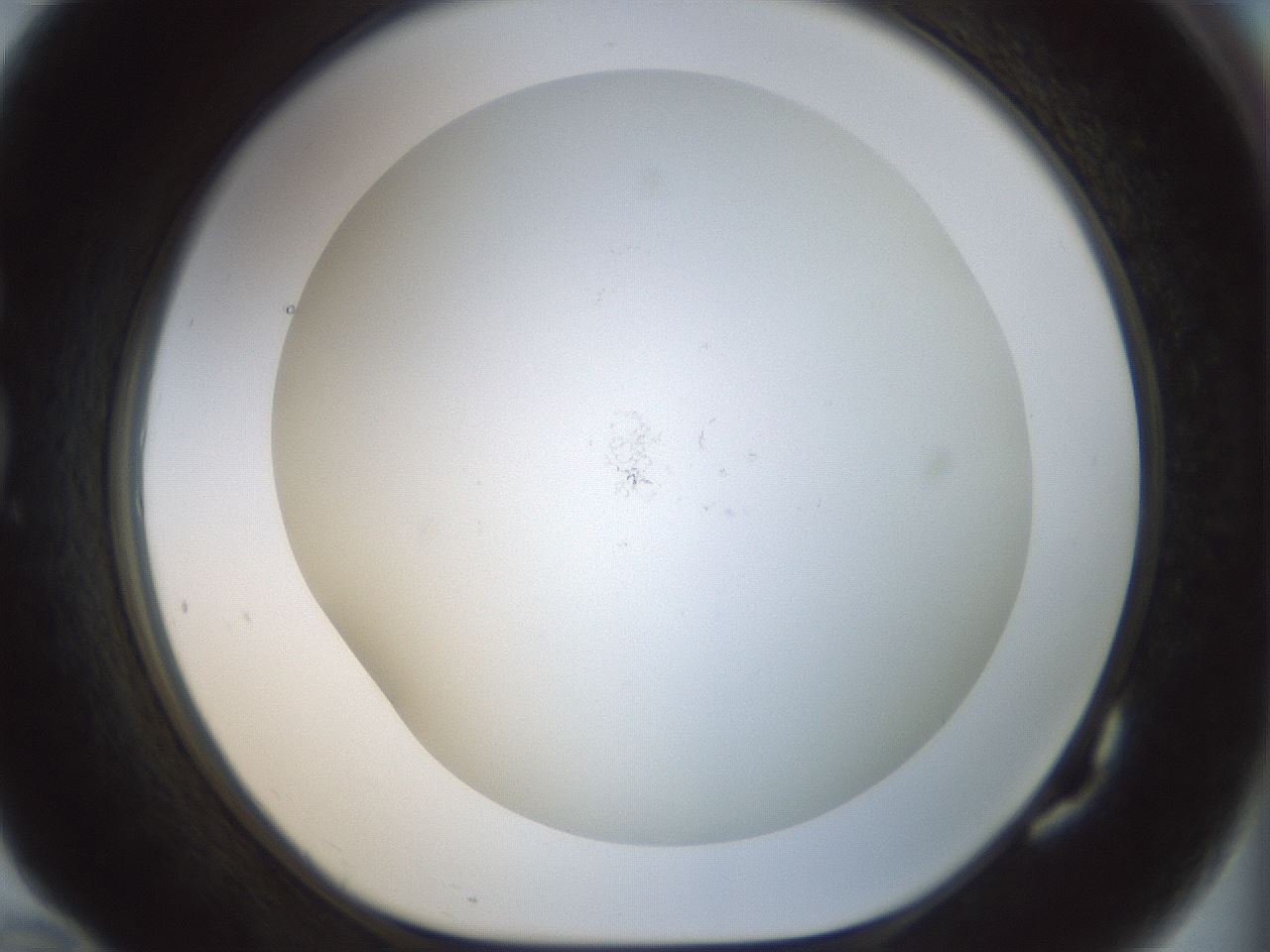 folderID208_plateID1208_batchID3595_wellNum82_profileID1_d1_r68738_ef.jpg