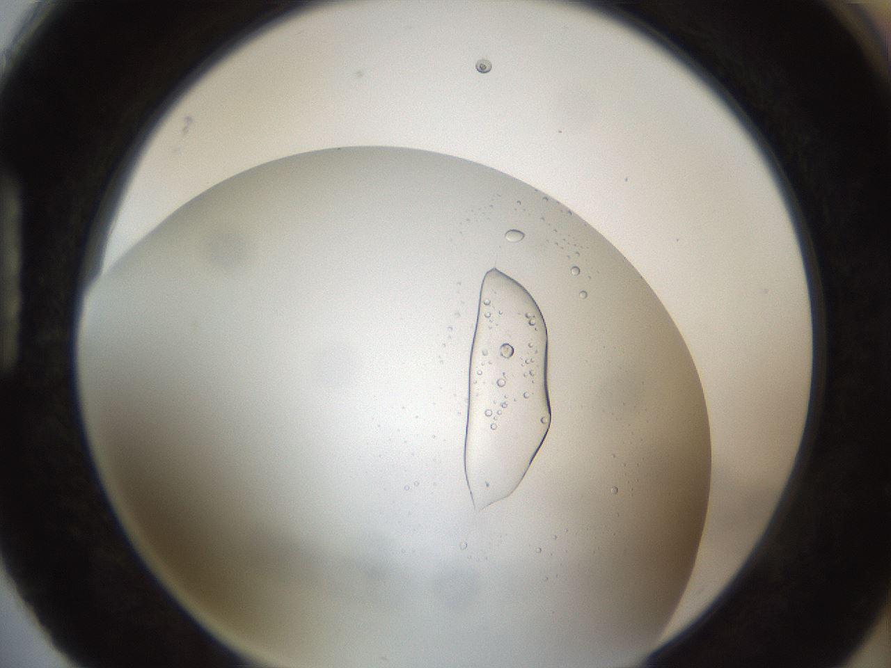 folderID213_plateID1213_batchID3528_wellNum88_profileID1_d1_r69134_ef.jpg